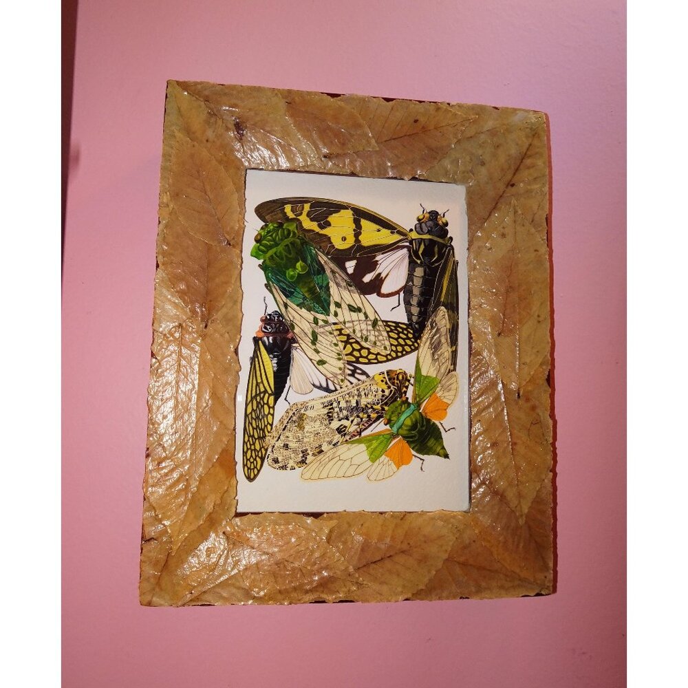 Vintage Art Print of Cicadas in Frame with Real Leaves goth witchy nature insect